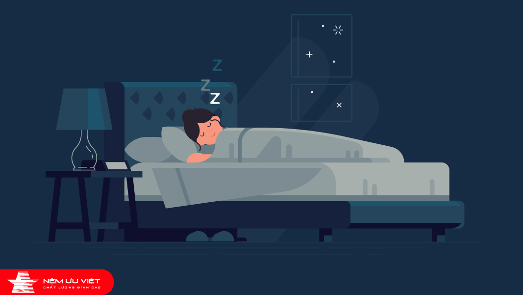 Giấc ngủ không đối xứng là gì? Con người có thể thức và ngủ cùng một lúc không?