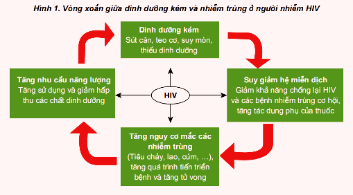 Người bị nhiễm HIV nên ăn uống như thế nào là tốt nhất