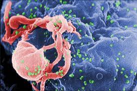 Sắp thử vắc xin ngừa HIV/AIDS trên người sau 8 năm nghiên cứu