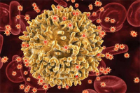 Phát hiện biến thể mới "siêu lây nhiễm" của HIV, dễ thành AIDS hơn