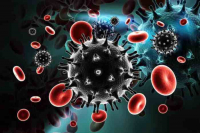 Lời cảnh báo cho đại dịch Covid-19 nhìn từ chủng HIV mới