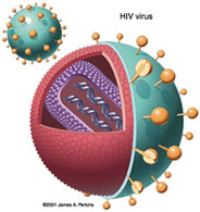 Nhiễm HIV và y nghĩa của cuộc sống