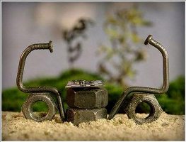 Cuộc đời của những chiếc đinh qua ống kính nhiếp ảnh gia Cuộc đời của những chiếc đinh qua ống kính nhiếp ảnh gia