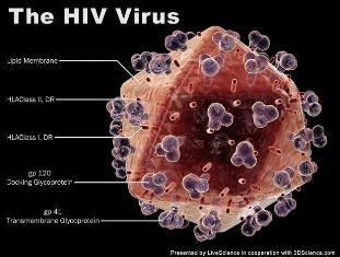 Mỗi tháng Việt Nam có thêm 1.000 ca nhiễm HIV