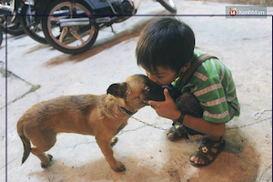 Câu chuyện của cậu bé bán vé số khiến bạn suy ngẫm về cuộc đời