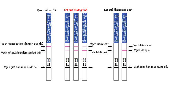 Phương pháp thử thai