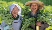 Khác biệt rất nhỏ trong đời sống người Nhật mang lại cho họ tuổi thọ cao