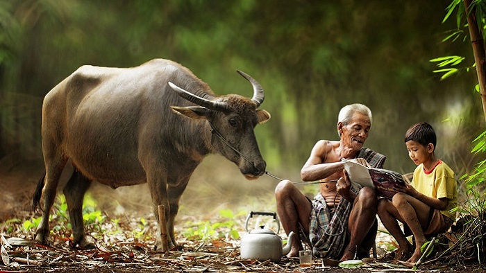 Những đứa trẻ sinh ra từ làng