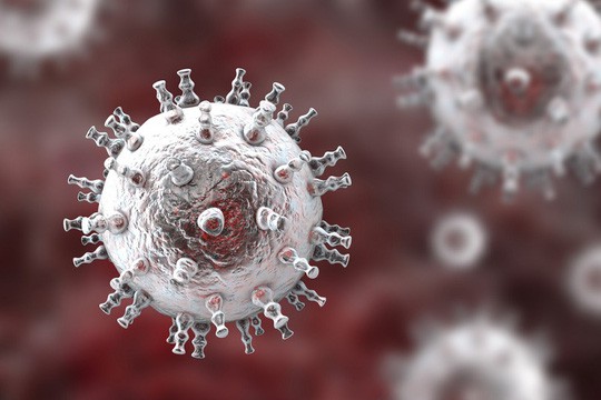 2 virus bệnh tình dục "giao phối", đe dọa sinh ra siêu bệnh mới