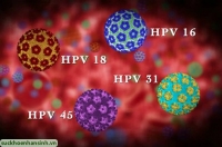 7 điều ít ai biết rõ về HPV, căn bệnh tình dục phổ biến nhất hiện nay