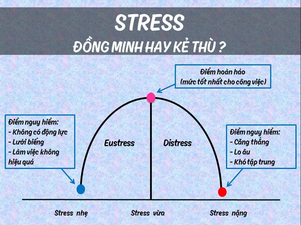 HÃY ĐỂ STRESS LÀM ĐỒNG MINH CỦA BẠN