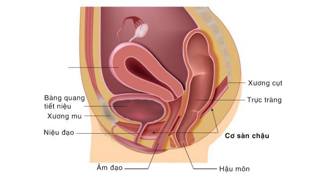 Phụ nữ nên đi khám ngay nếu thấy những triệu chứng này