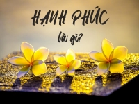 Bạn có đang thật sự hạnh phúc?