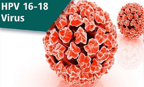 HPV cũng gây ung thư ở nam giới