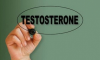 Testosterone "anh " là ai?