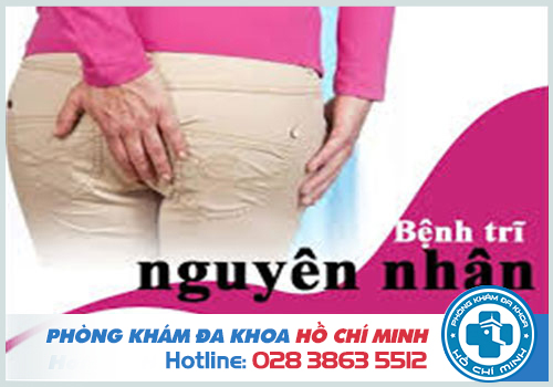 Không muốn bị trĩ ảnh hưởng cuộc sống, hãy tham khảo cách sau