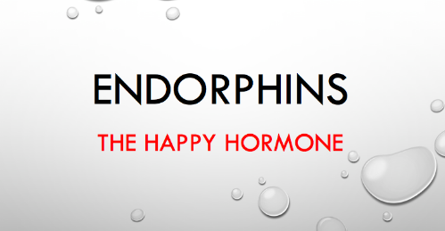Các hormone và chất dẫn truyền được sản sinh trong hoạt động tình dục