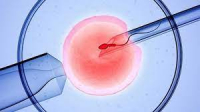 Có giới hạn tuổi cho phụ nữ muốn sinh con bằng phương pháp IVF?