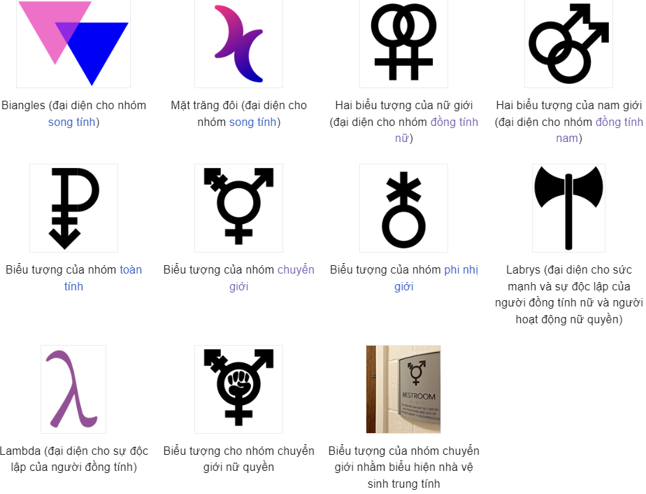 Tìm hiểu một số lá cờ tự hào của cộng đồng LGBT+