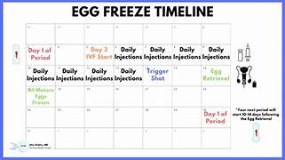 11 điều bạn nên biết nếu đang cân nhắc việc đông lạnh trứng