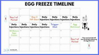 11 điều bạn nên biết nếu đang cân nhắc việc đông lạnh trứng