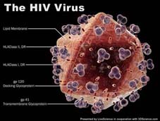 Phát hiện chủng vi-rút HIV mới ''hung hăng'' hơn